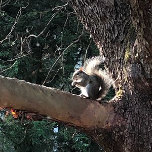 Meet your Posher, Lyse